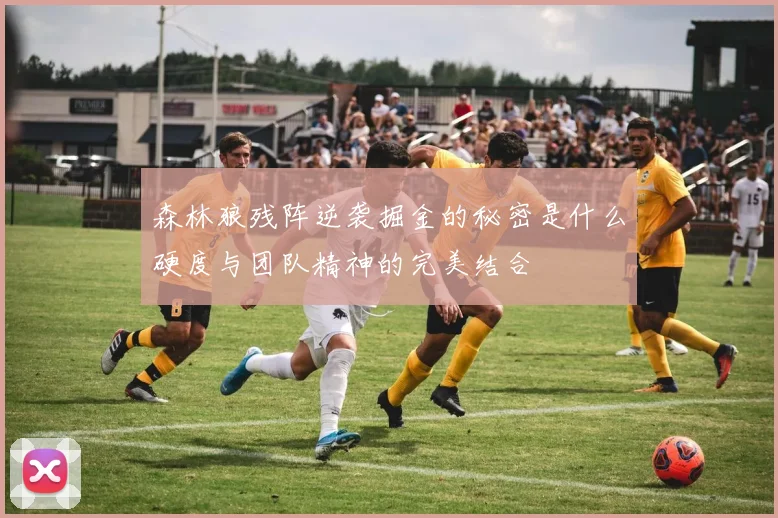 森林狼残阵逆袭掘金的秘密是什么硬度与团队精神的完美结合