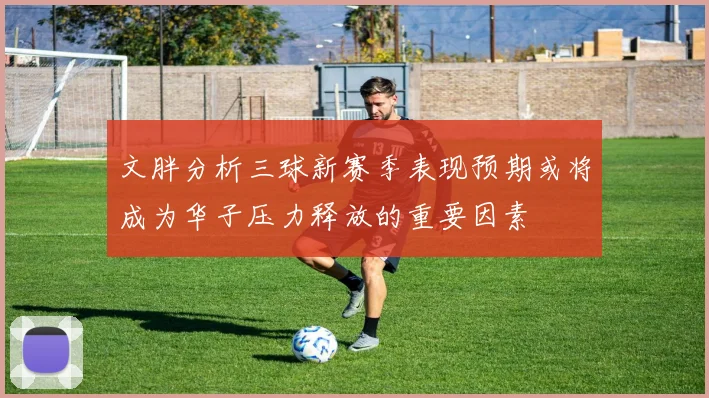 文胖分析三球新赛季表现预期或将成为华子压力释放的重要因素